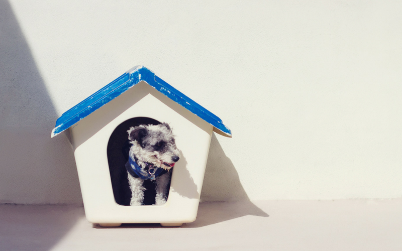 A puppy looks out of his dog house modeled after a suburban-type home