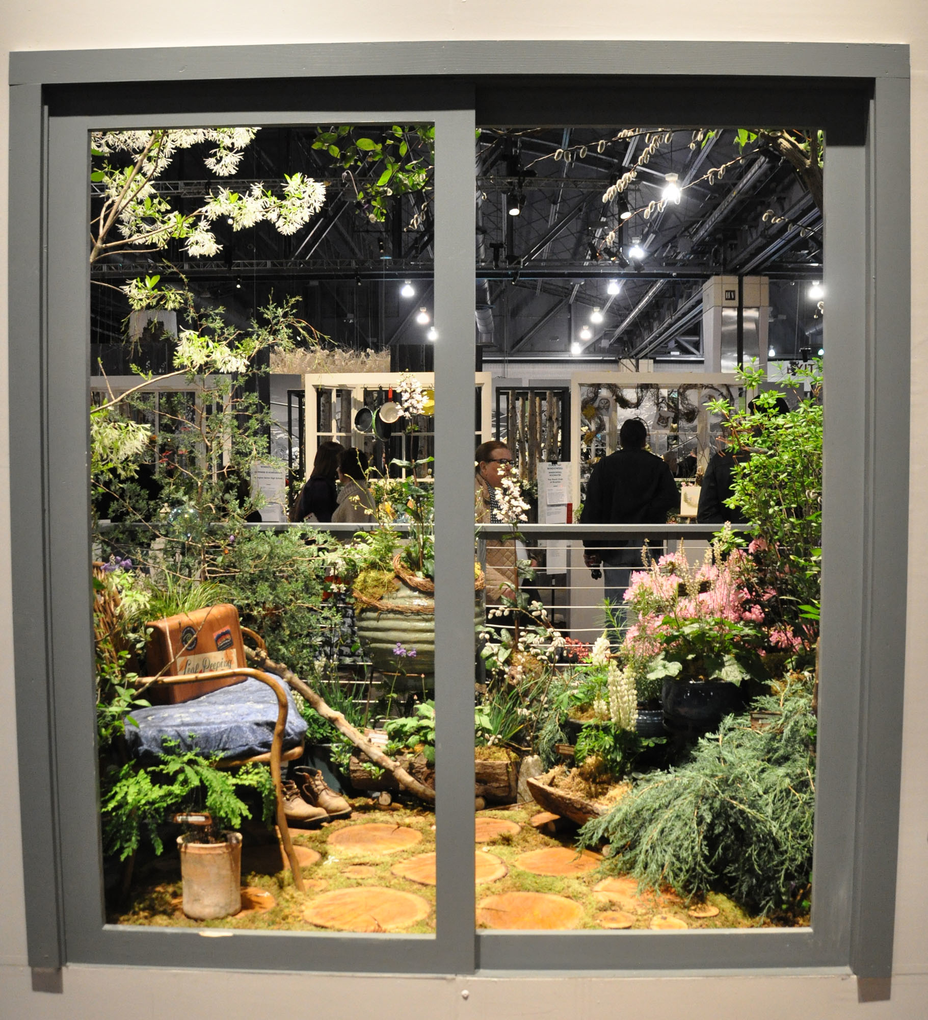 a look through a window at plants